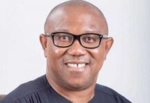 I never asked Nigerians abroad to abandon relatives – Obi