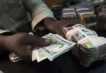 Naira under pressure as CBN mops up cash, floats B2.5trn OMO, importers seek dollars