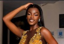 I’ve been treated unfairly, targeted’, Chidimma Adetshina laments