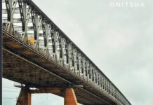 Who Will Protect the Niger Bridges? A South-East Call to Action