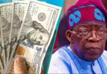 BREAKING: Tinubu seeks fresh $1.5bn World Bank loan as Nigeria’s debt hits N166.79trn – Naira crashes to N1,382/$ (Black Market Rates Today)