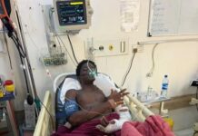 How a Hit-and-Run Driver Nearly Took Our Suleman